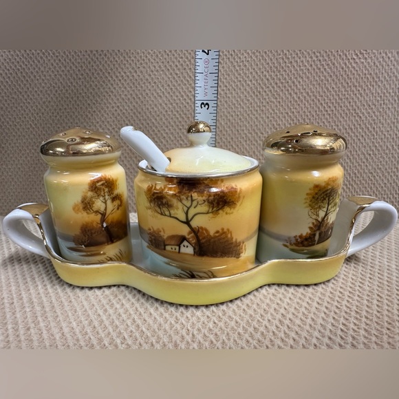 Vintage Noritake Japan 5 piece Set Salt, Pepper & Mustard Jar. - Picture 9 of 11
